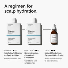 Natural Moisturizing Factors + HA for Scalp - Daily Roots