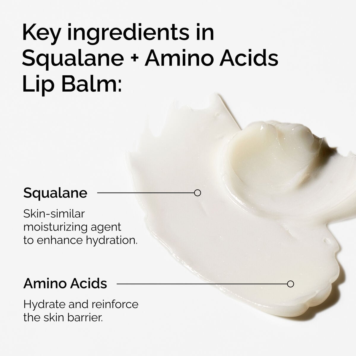 Squalane + Amino Acids Lip Balm - Ready Look