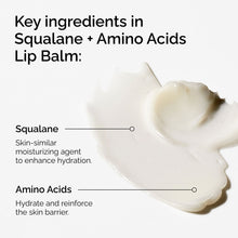 Squalane + Amino Acids Lip Balm - Ready Look