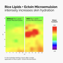 Rice Lipids + Ectoin Microemulsion - Ready Routine